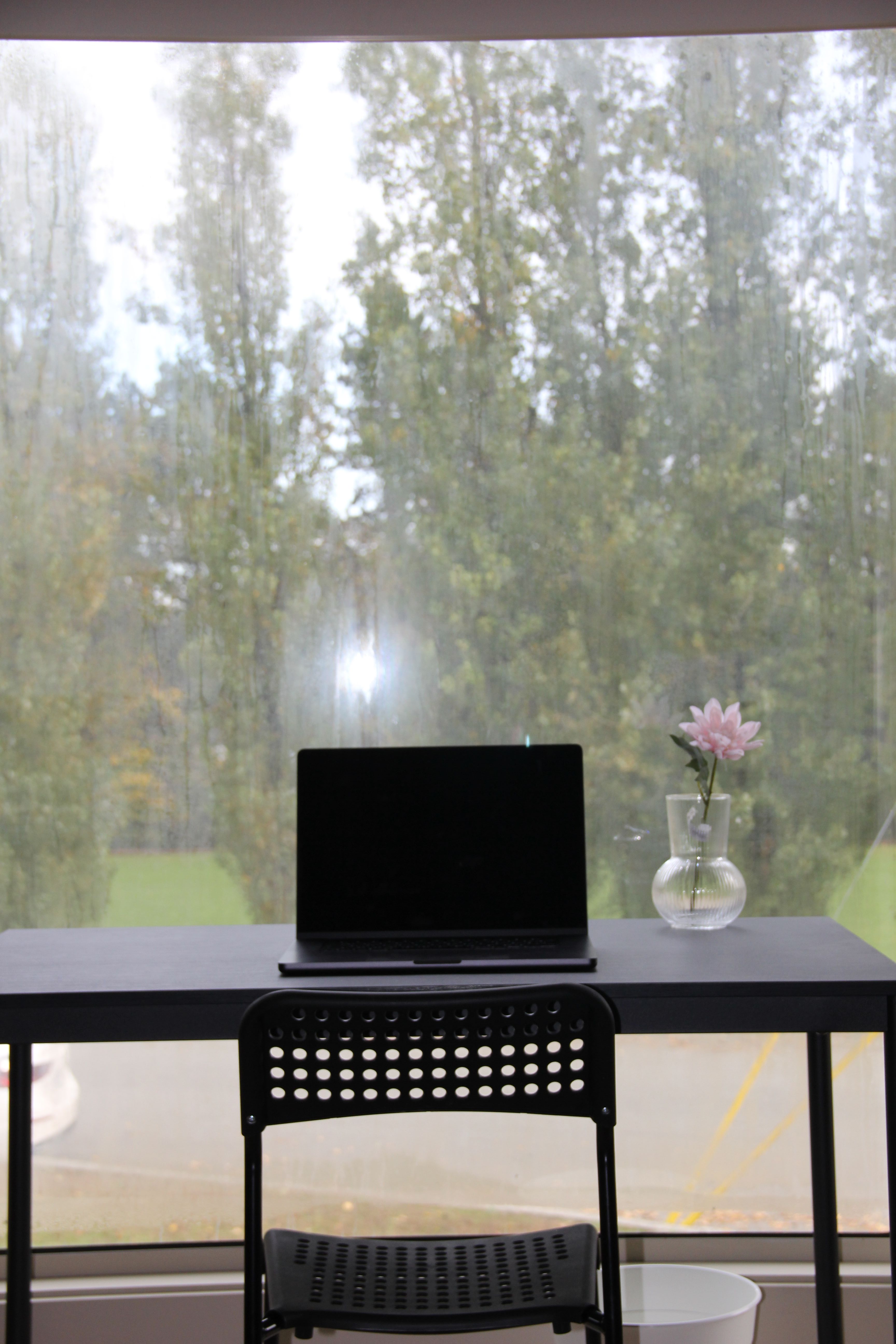 Large Furnished Room 4 for 2 People in Coquitlam near SkyTrain